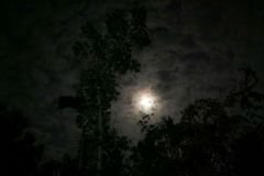 Moon in cloud