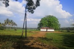 Temple at Puthenvelikkara