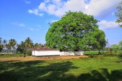 Temple at Puthenvelikkara