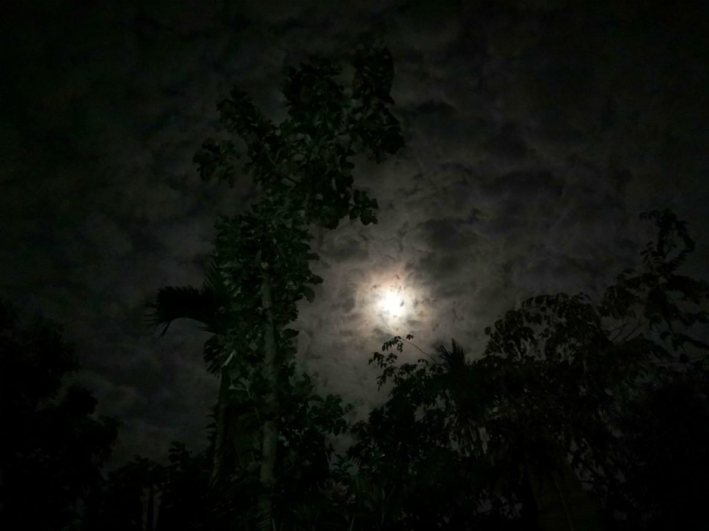 Cloudy Moon