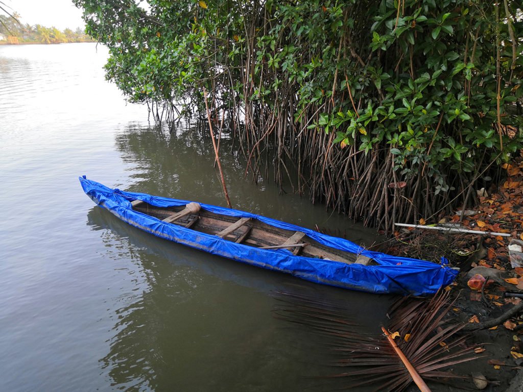 Fish Farm at Ezhikkara