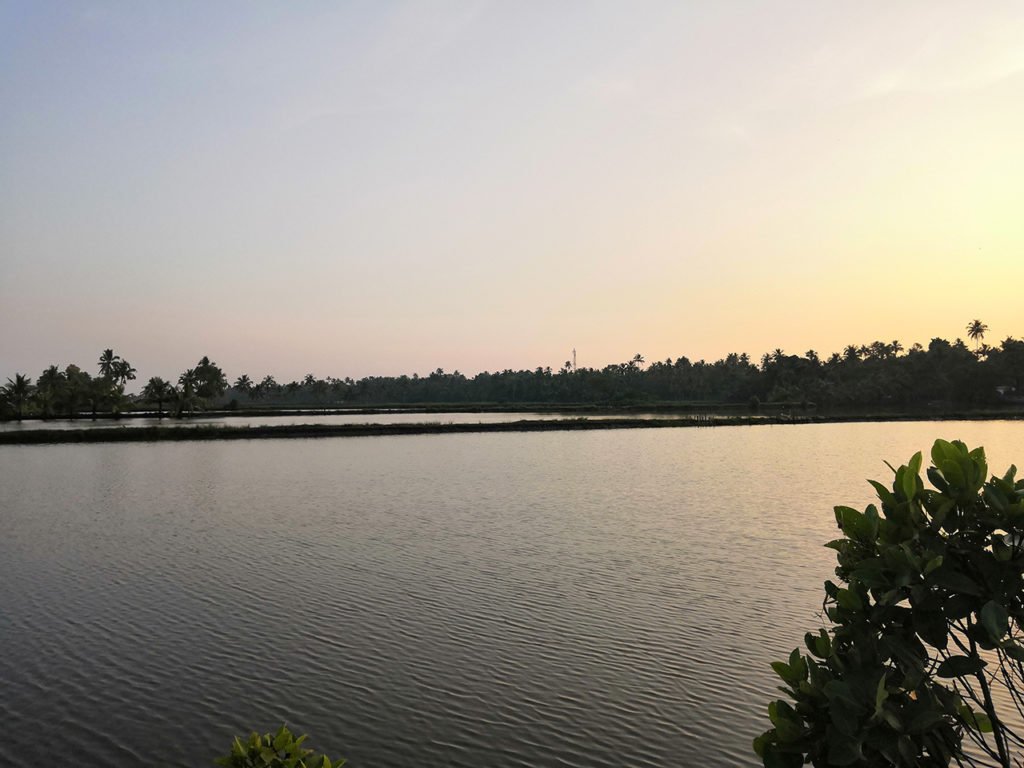 Fish Farm at Ezhikkara