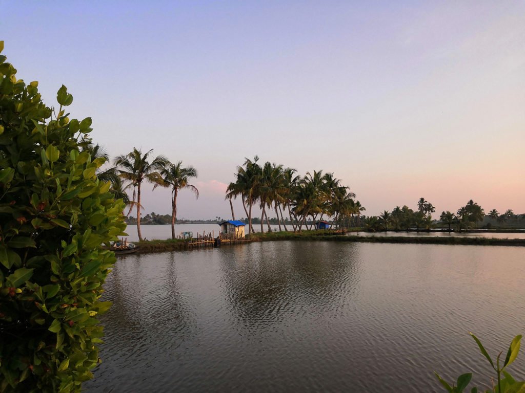 Fish Farm at Ezhikkara