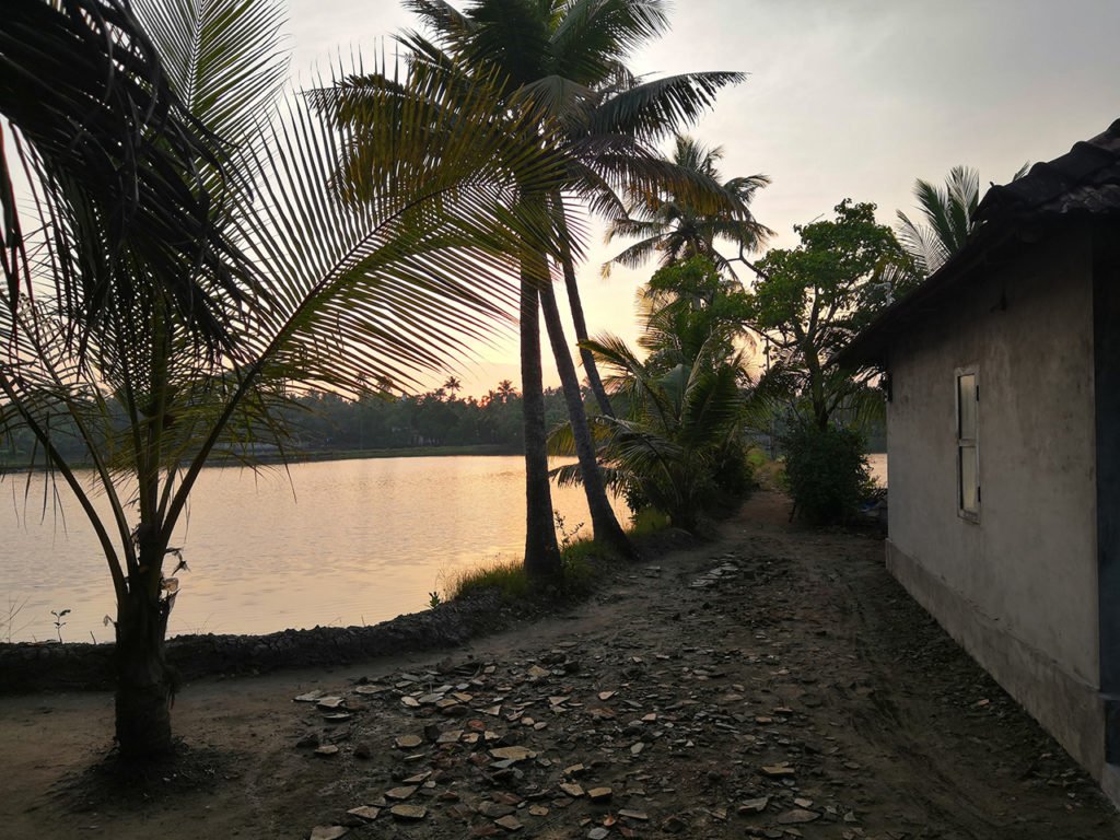 Fish Farm at Ezhikkara