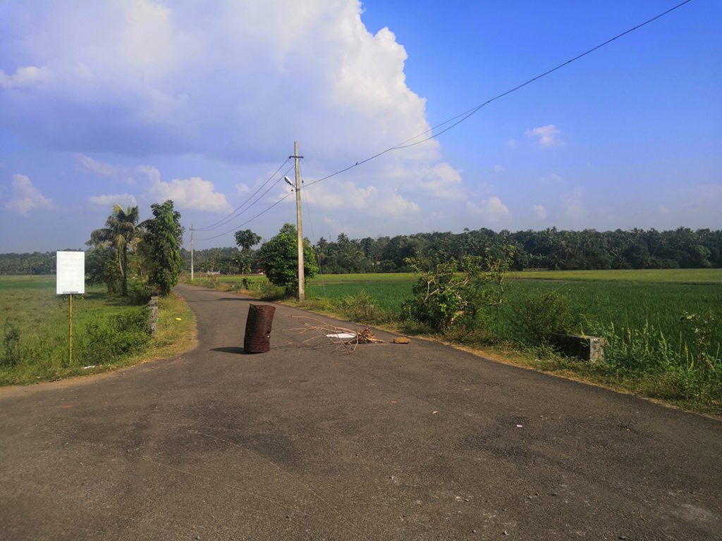 Paddy field at Puthenvelikara