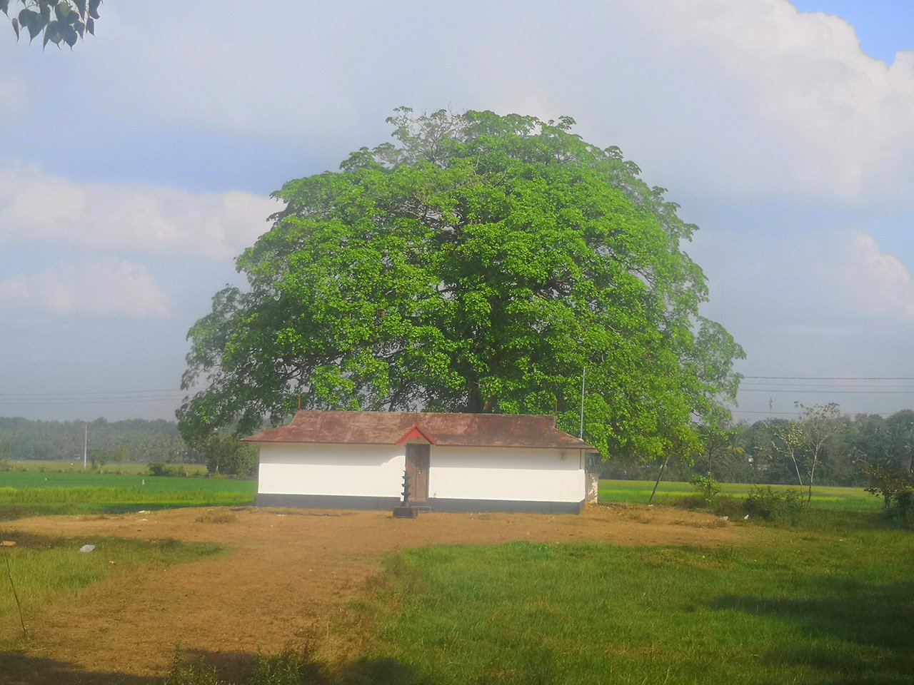 Lonely temple