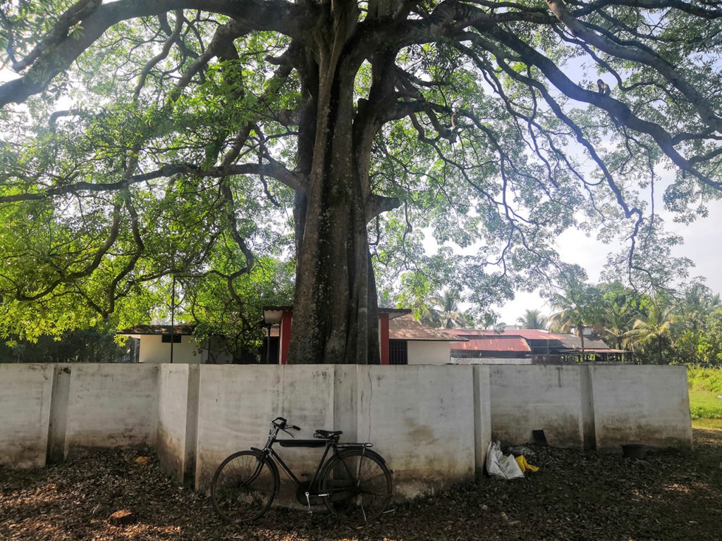 Lonely temple